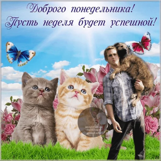 Стикер из набора добрый Гослинг от @ryangoslingmem для Телеграм: Статические ☺️