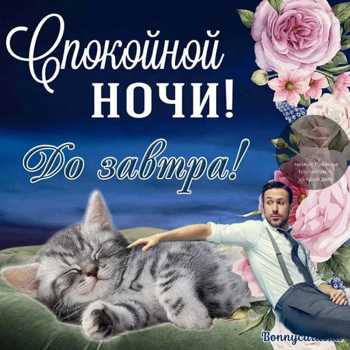 Стикер из набора добрый Гослинг от @ryangoslingmem для Телеграм: Статические 😴
