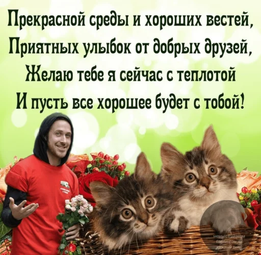 Стикер из набора добрый Гослинг от @ryangoslingmem для Телеграм: Статические 😄