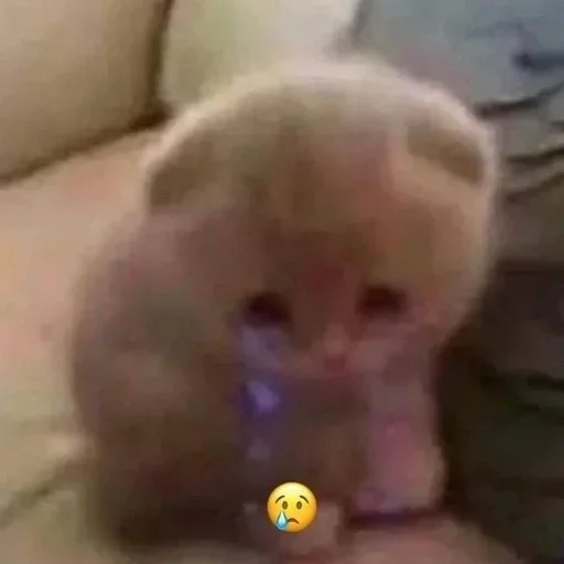 Стикер из набора @AACultist для Телеграм: Анимированные, Видео, Статические 😢