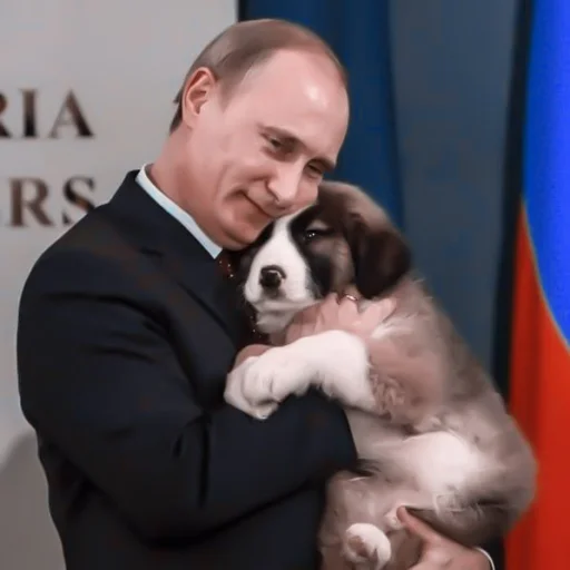 Стикер из набора [🇷🇺]  ;; путин и медведев ;; by ‹︎‹︎ @smstickerr для Телеграм: Статические 🇷🇺
