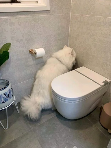 Стикер из набора @somebadmemes 3 (by @WeirdSeason) для Телеграм: Статические 🐶