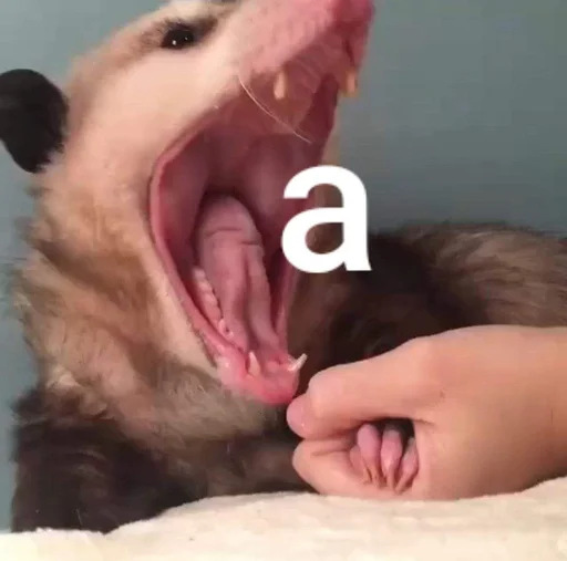 Стикер из набора @somebadmemes 3 (by @WeirdSeason) для Телеграм: Статические 😱