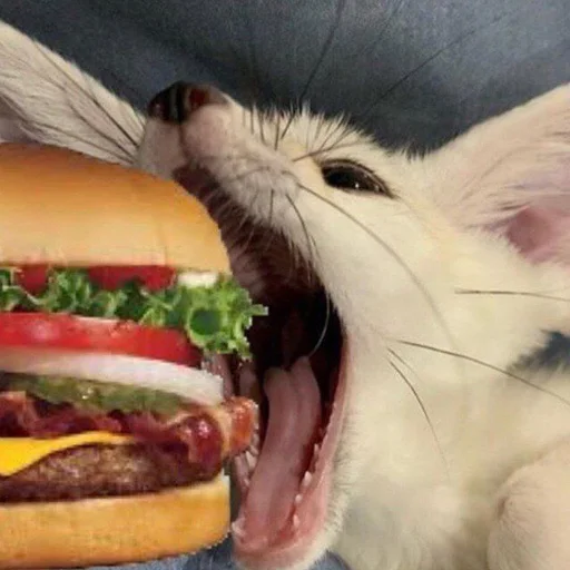 Стикер из набора @somebadmemes 3 (by @WeirdSeason) для Телеграм: Статические 🦊