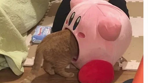 Стикер из набора @somebadmemes 3 (by @WeirdSeason) для Телеграм: Статические 🐈