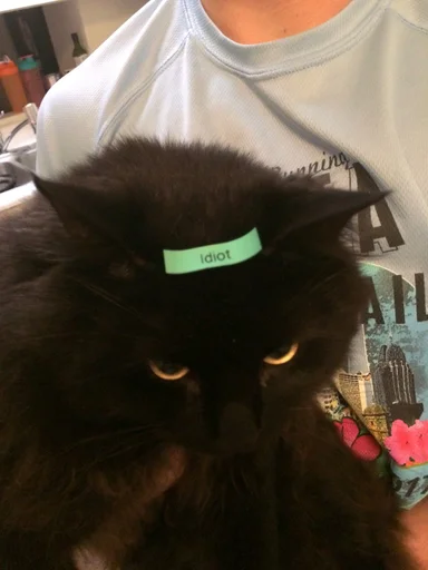 Стикер из набора @somebadmemes 3 (by @WeirdSeason) для Телеграм: Статические 🤪