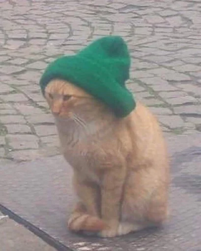 Стикер из набора @somebadmemes 3 (by @WeirdSeason) для Телеграм: Статические 🐱