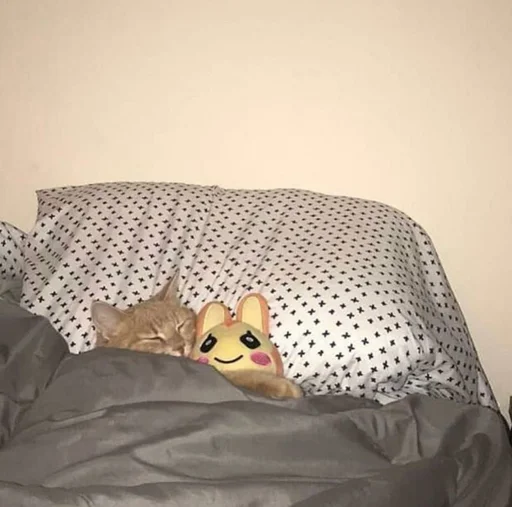 Стикер из набора @somebadmemes 3 (by @WeirdSeason) для Телеграм: Статические 🐱