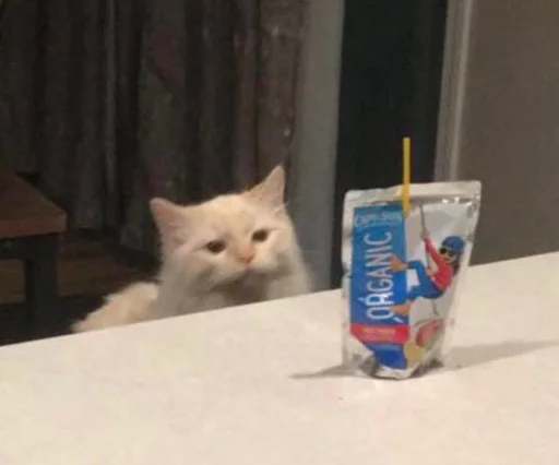 Стикер из набора @somebadmemes 3 (by @WeirdSeason) для Телеграм: Статические 🐱