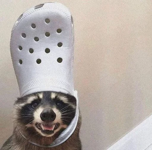 Стикер из набора @somebadmemes 3 (by @WeirdSeason) для Телеграм: Статические 🦝