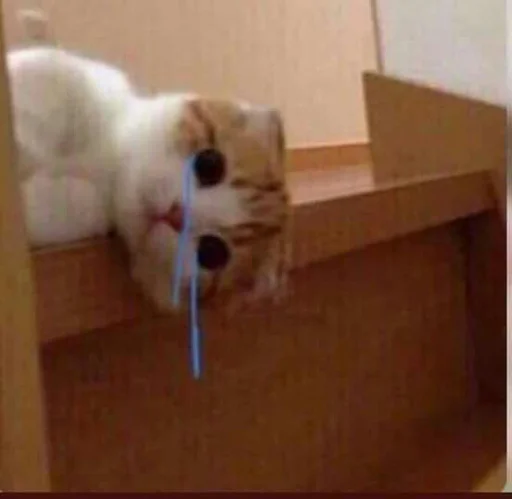 Стикер из набора @somebadmemes 3 (by @WeirdSeason) для Телеграм: Статические 🐱