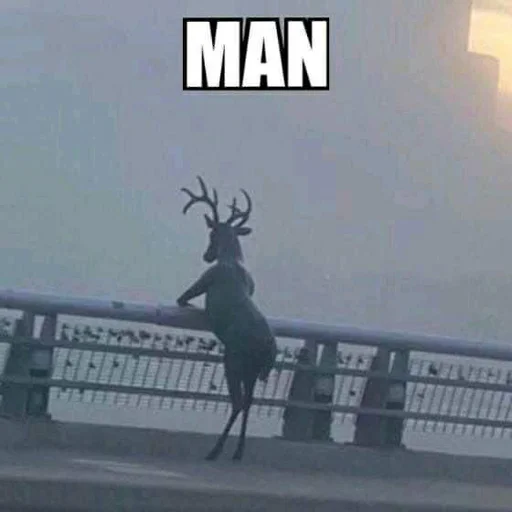 Стикер из набора @somebadmemes 3 (by @WeirdSeason) для Телеграм: Статические 🦌