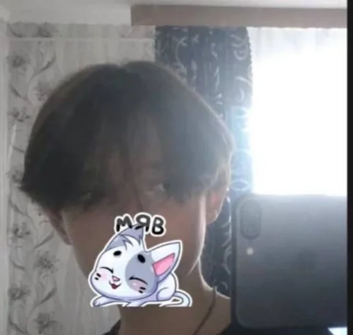 Стикер из набора fans @them0l :: @fStikBot для Телеграм: Статические 🦭