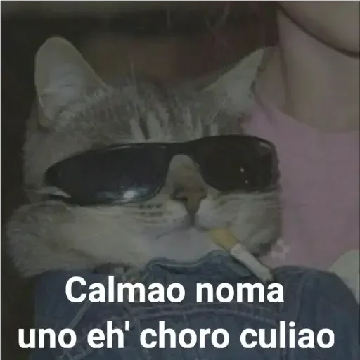 Стикер из набора @darksun12's Pack 2 для Телеграм: Статические 😎