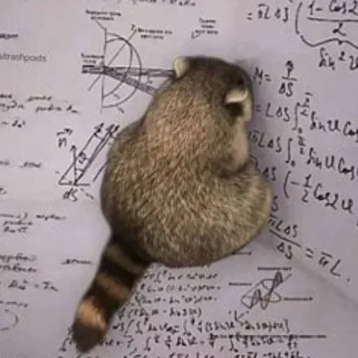 Стикер из набора Енот🦝 для Телеграм: Видео, Статические 😒