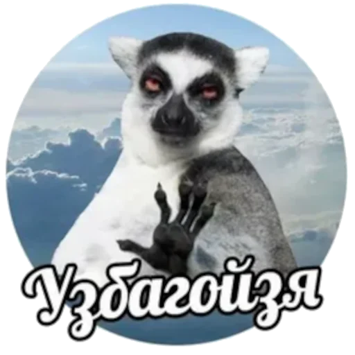 Стикер из набора УЗБАГОЙСЯ для Телеграм: Статические 🤚