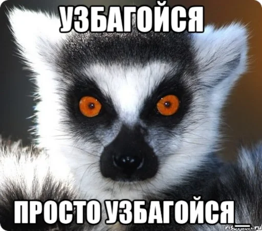 Стикер из набора УЗБАГОЙСЯ для Телеграм: Статические 😳