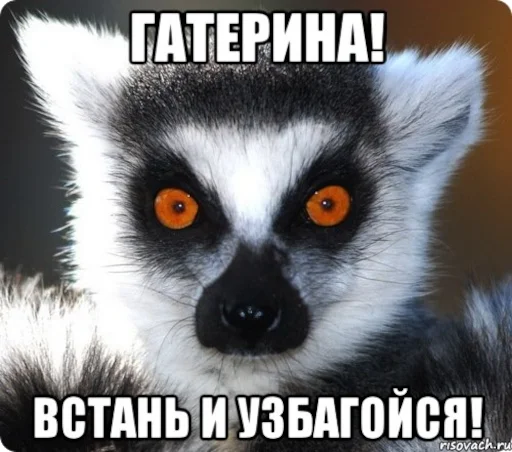 Стикер из набора УЗБАГОЙСЯ для Телеграм: Статические 😳