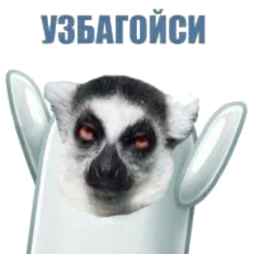 Стикер из набора УЗБАГОЙСЯ для Телеграм: Статические 🤡
