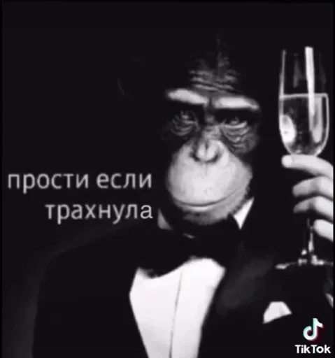 Стикер из набора 𝙢𝙖𝙠𝙞𝙢𝙖 :: @fStikBot для Телеграм: Статические 👨🦽