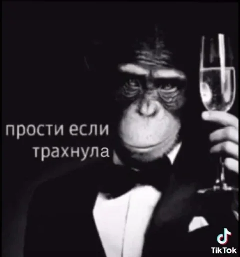 Стикер из набора 𝙢𝙖𝙠𝙞𝙢𝙖 :: @fStikBot для Телеграм: Статические 👨🦽