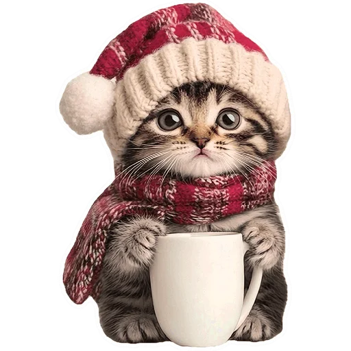 Стикер из набора Зимние котики @Nyasticks для Телеграм: Статические ☕️