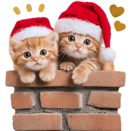 Стикер из набора Зимние котики @Nyasticks для Телеграм: Статические 🎅