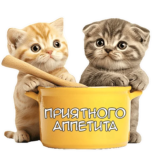 Стикер из набора Зимние котики @Nyasticks для Телеграм: Статические 😋