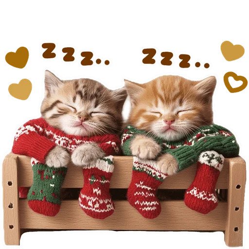 Стикер из набора Зимние котики @Nyasticks для Телеграм: Статические 😴