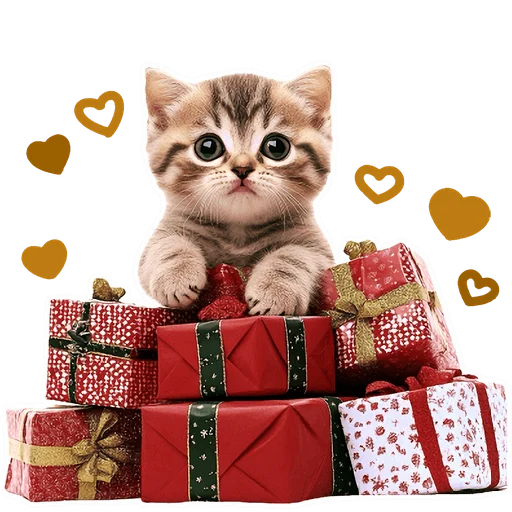 Стикер из набора Зимние котики @Nyasticks для Телеграм: Статические 🎁