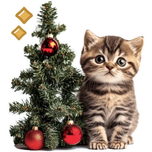 Стикер из набора Зимние котики @Nyasticks для Телеграм: Статические 🎄