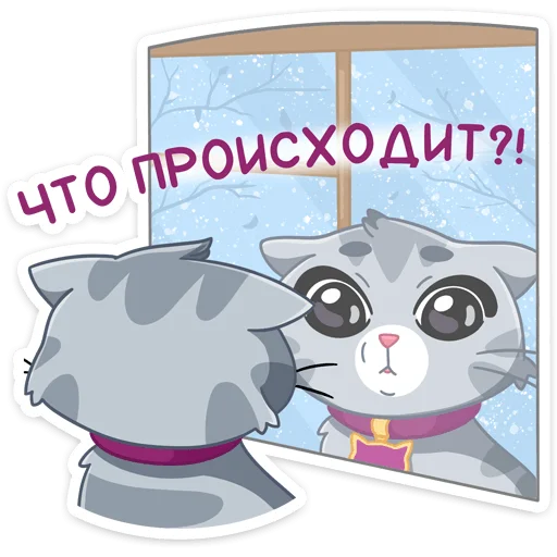 Стикер из набора Табби :: @stickroom для Телеграм: Статические 😳