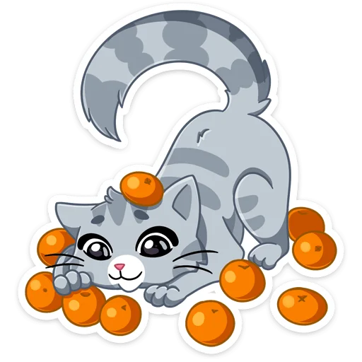 Стикер из набора Табби :: @stickroom для Телеграм: Статические 🍊