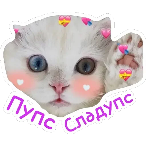 Стикер из набора Ведьмины штучки для Телеграм: Статические 🍭