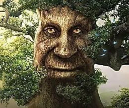 Стикер из набора tree для Телеграм: Статические 😏