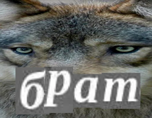 Стикерпак Волк за брата @sticker_na_vorotnik для Телеграм: Статические