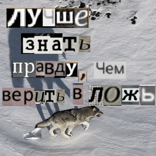 Стикер из набора Волк за брата @sticker_na_vorotnik для Телеграм: Статические 😑