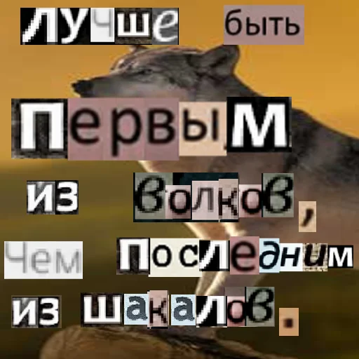 Стикер из набора Волк за брата @sticker_na_vorotnik для Телеграм: Статические 😒