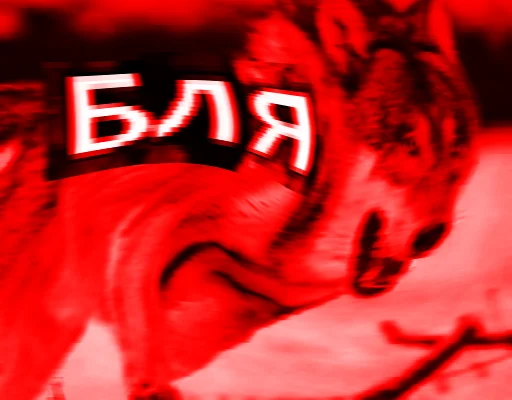 Стикер из набора Волк за брата @sticker_na_vorotnik для Телеграм: Статические 😡