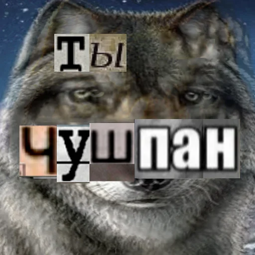 Стикер из набора Волк за брата @sticker_na_vorotnik для Телеграм: Статические 0️⃣