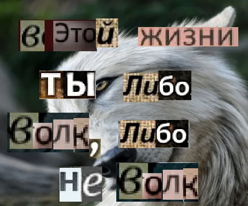 Стикер из набора Волк за брата @sticker_na_vorotnik для Телеграм: Статические 😎