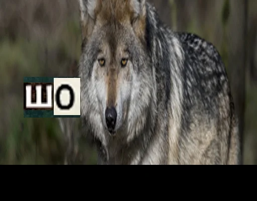 Стикер из набора Волк за брата @sticker_na_vorotnik для Телеграм: Статические 🧐
