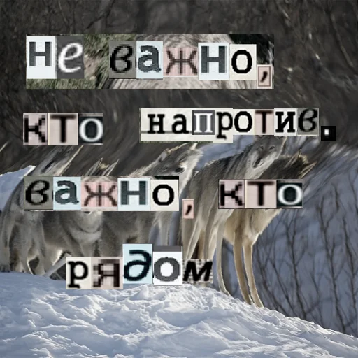 Стикер из набора Волк за брата @sticker_na_vorotnik для Телеграм: Статические 👨👩👧👦