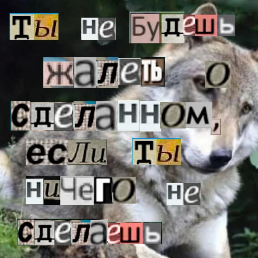 Стикер из набора Волк за брата @sticker_na_vorotnik для Телеграм: Статические 😉