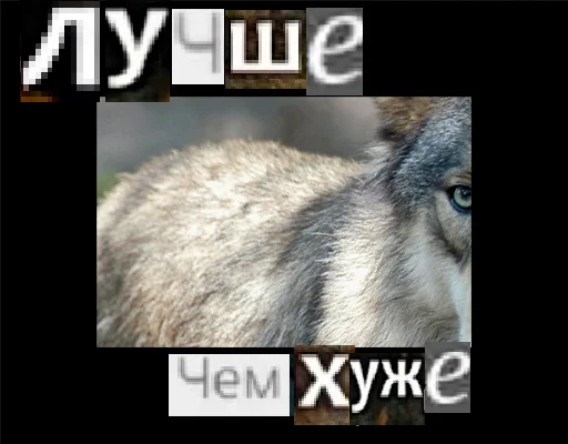 Стикер из набора Волк за брата @sticker_na_vorotnik для Телеграм: Статические 🥴
