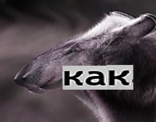Стикер из набора Волк за брата @sticker_na_vorotnik для Телеграм: Статические 🙃