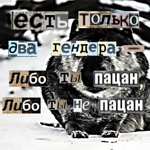 Стикер из набора Волк за брата @sticker_na_vorotnik для Телеграм: Статические 👊