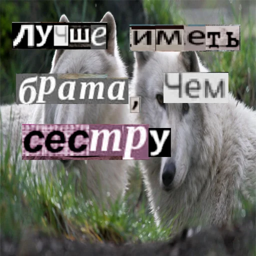Стикер из набора Волк за брата @sticker_na_vorotnik для Телеграм: Статические 🧏♂️