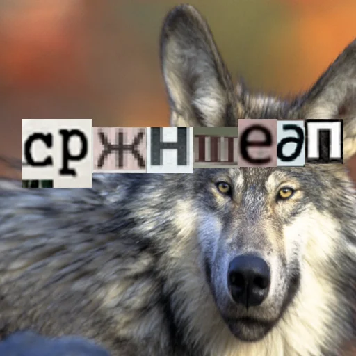Стикер из набора Волк за брата @sticker_na_vorotnik для Телеграм: Статические 🗿