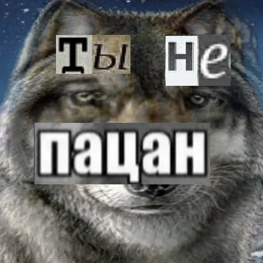 Стикер из набора Волк за брата @sticker_na_vorotnik для Телеграм: Статические 👩